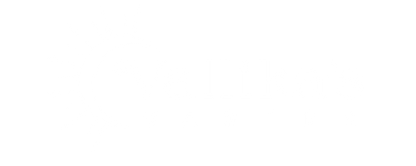 Vallika's Vastra